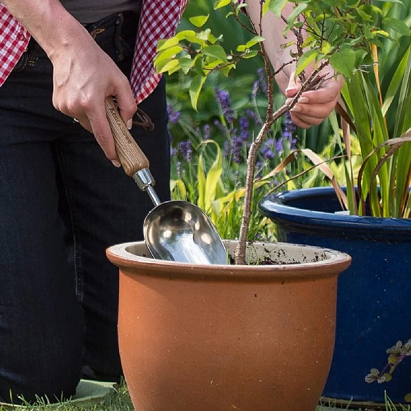 Kent & Stowe Stainless Steel Hand Potting Scoop - Image 2