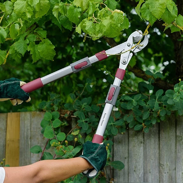 Kent & Stowe Telescopic Geared Anvil Loppers - Image 2