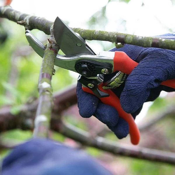 Wilkinson Sword Folding Pruner Saw & Pruner Set - Image 3