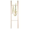 Fallen Fruits Flower & Herb Drying Ladder