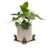 Jardinopia Plant Pot Feet Bronze Frog - Set Of 3
