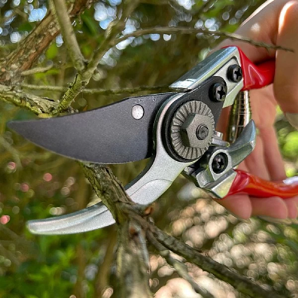 Darlac Small Bypass Pruner - Image 2