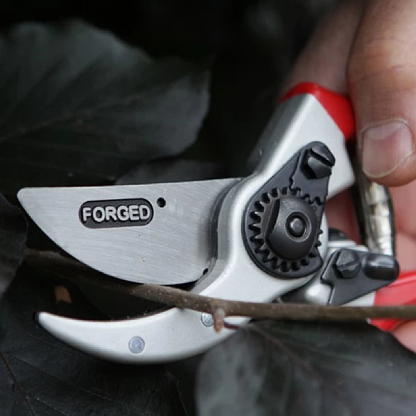 Darlac Expert Drop Forged Pruner - Image 2