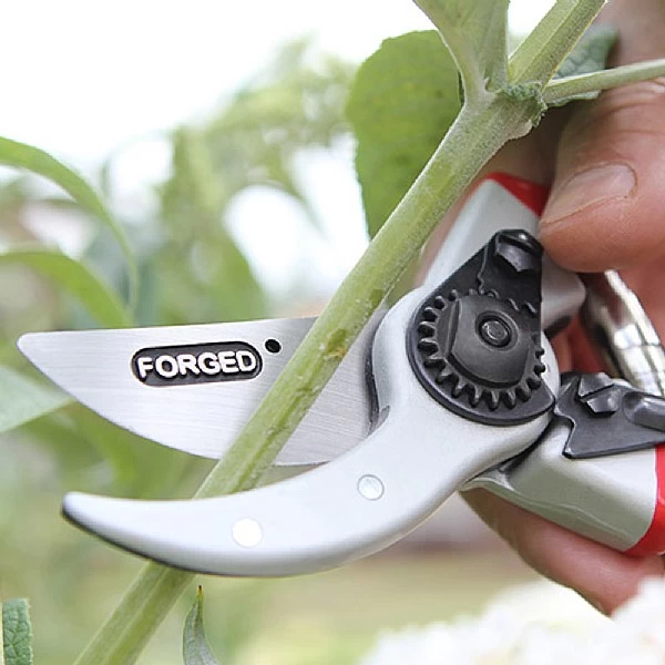 Darlac Expert Drop Forged Pruner - Image 3