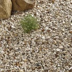 Kelkay Yorkshire Cream Bulk Bag