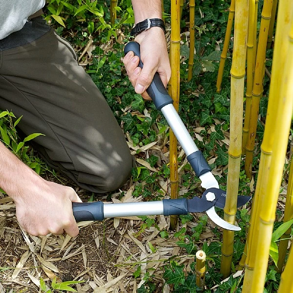 Burgon & Ball RHS Mini Bypass Lopper - Image 2